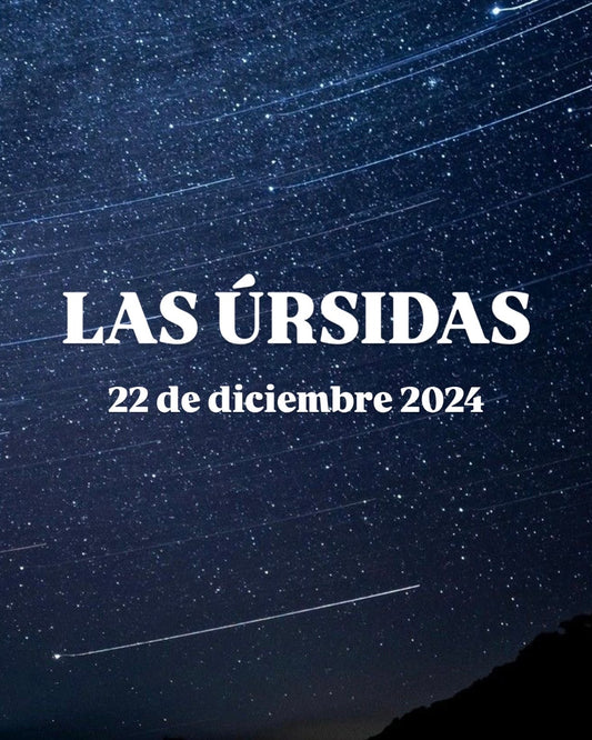 Las Úrsidas