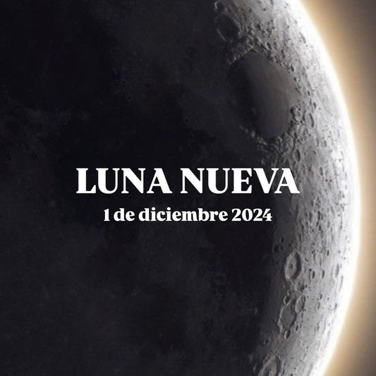 Luna Nueva